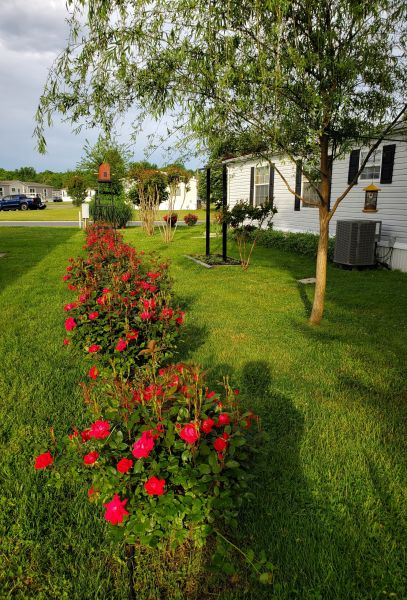 #195 Fox Pointe drive  Fox Pointe Village  Mobile Home for Sale in Delaware