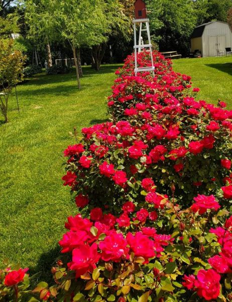 #195 Fox Pointe drive  Fox Pointe Village  Mobile Home for Sale in Delaware