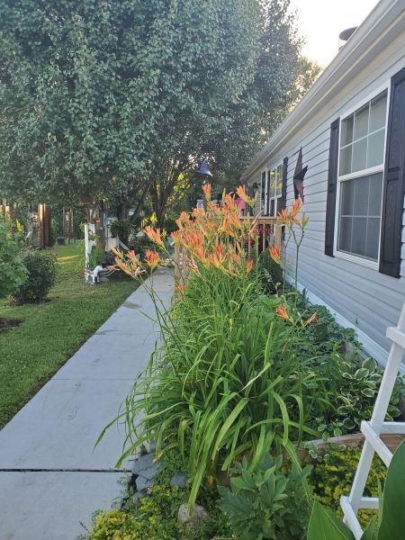 #195 Fox Pointe drive  Fox Pointe Village  Mobile Home for Sale in Delaware