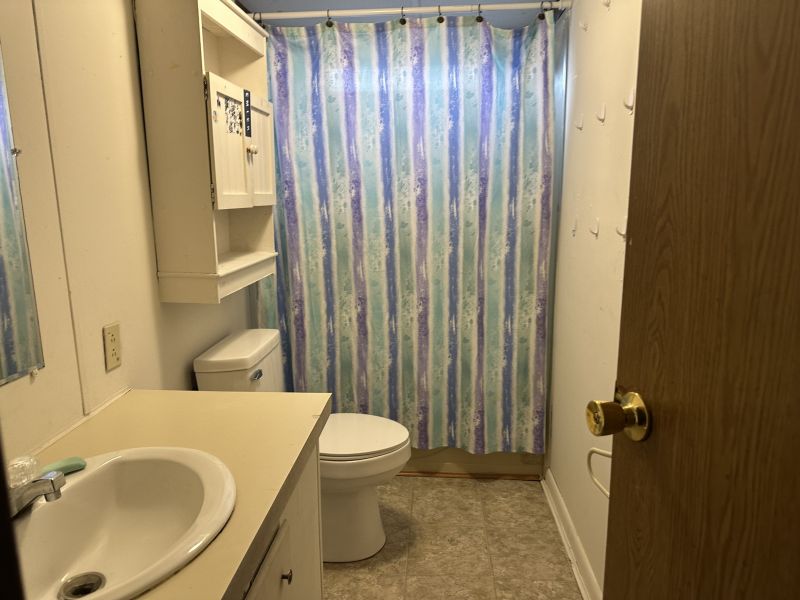 #393 Balsam drive  Pinewood Acres Mobile Home for Sale in Delaware